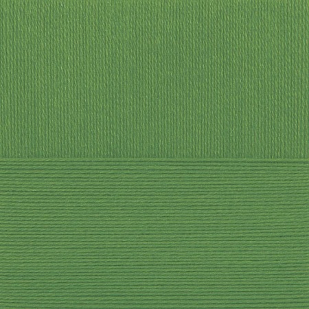 Школьная. Цвет 434-Зеленый. 5x50 г.