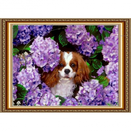 Набор для вышивания бисером №062 «Щеночек в цветах»