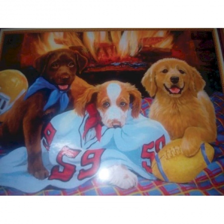 Набор для вышивания крестом №2241 50x40см