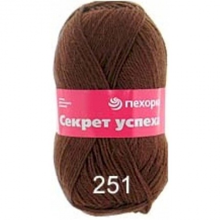 Секрет успеха. Цвет 251-Коричневый. 10x100 г.