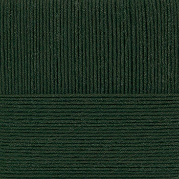 Перспективная. Цвет 10-Тайга. 5х100 г