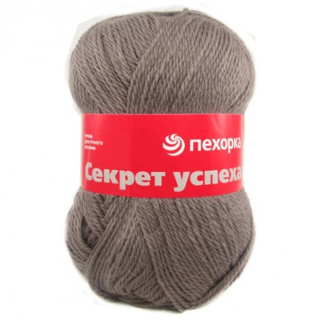 Секрет успеха. Цвет 161-Мокко. 10x100 г.