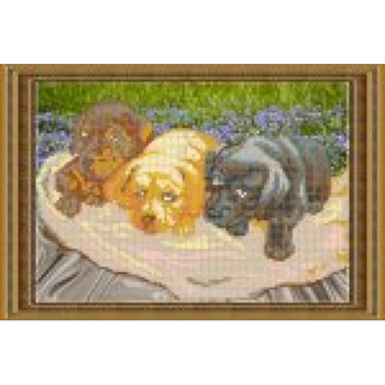 Набор для вышивания бисером «Три щеночка» 34x22,8 см
