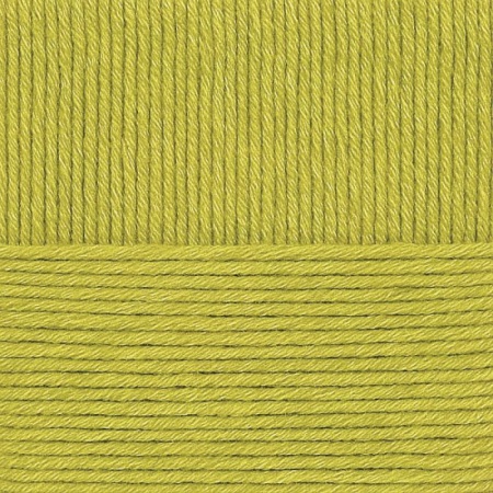 Зимняя премьера. Цвет 342-Св.горох. 10x100 г.