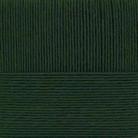 Конкурентная. Цвет 10-Тайга. 10x100 г