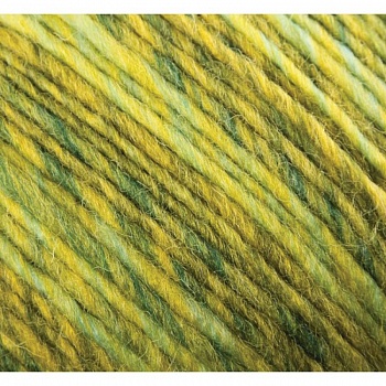 Ровница 'Мультиколоровая' Цвет (1090 М). 5x200 г