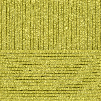 Зимняя премьера. Цвет 342-Св.горох. 10x100 г.