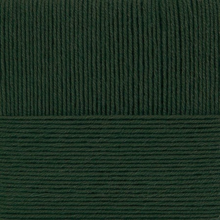 Перспективная. Цвет 10-Тайга. 5х100 г